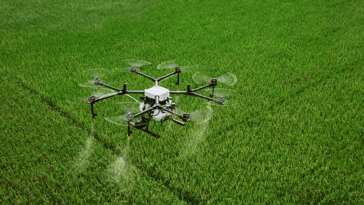 Agriculture